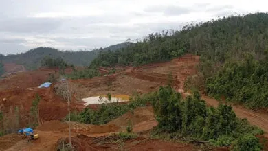 Satgas PKH Geledah Kantor Tambang di Sulawesi Tenggara Terkait Penggarapan Kawasan Hutan
