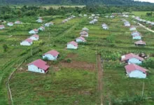 Jumlah Transmigran di Sultra Capai 275.786 Jiwa