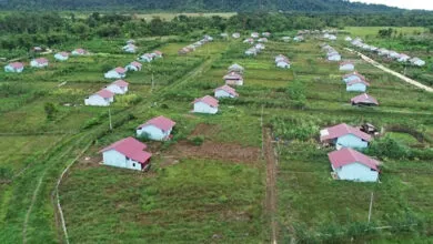 Jumlah Transmigran di Sultra Capai 275.786 Jiwa
