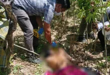 Pria di Poasia Ditemukan Meninggal Pisau Tertancap di Perut, Polisi: Indikasinya Bunuh Diri