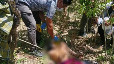 Pria di Poasia Ditemukan Meninggal Pisau Tertancap di Perut, Polisi: Indikasinya Bunuh Diri
