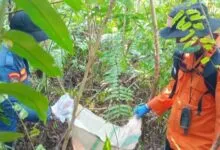 Polisi Ungkap Kronologi Pembunuhan Anak di Konsel, Korban Dilecehkan Lalu Dibunuh