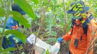 Polisi Ungkap Kronologi Pembunuhan Anak di Konsel, Korban Dilecehkan Lalu Dibunuh