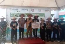 Bulog Sultra Tanam 1.000 Pohon Mangrove, Dukung Pelestarian Lingkungan Pesisir