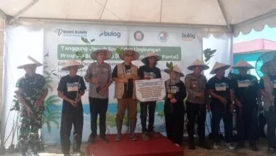 Bulog Sultra Tanam 1.000 Pohon Mangrove, Dukung Pelestarian Lingkungan Pesisir