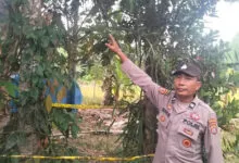 Diduga Depresi Karena Masalah Rumah Tangga, Pria di Konawe Ditemukan Tewas Gantung Diri