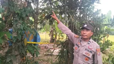 Diduga Depresi Karena Masalah Rumah Tangga, Pria di Konawe Ditemukan Tewas Gantung Diri