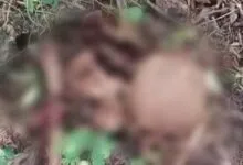 Warga Muna Digegerkan dengan Penemuan Tengkorak Manusia