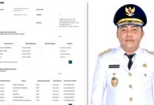 Wabup Kolaka Diduga Jabat Komisiaris di PT MMP, Pakar Hukum Negara Sebut Pejabat Negara Dilarang Rangkap Jabatan