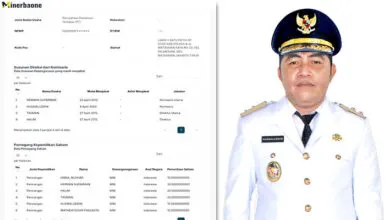 Wabup Kolaka Diduga Jabat Komisiaris di PT MMP, Pakar Hukum Negara Sebut Pejabat Negara Dilarang Rangkap Jabatan