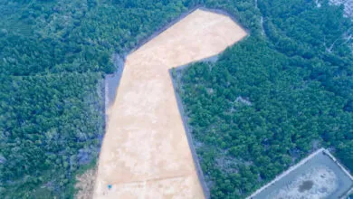 Walhi Sultra Kecam Pengrusakan Kawasan Hutan Mangrove untuk Pembangunan Rumah Pribadi