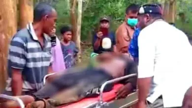Seorang Pria di Muna Barat Ditimpa Pohon Tumbang