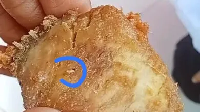 Guru PAUD di Muna Barat Temukan Belatung di Menu MBG