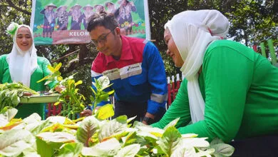 Pertamina Patra Niaga Sulawesi Hadirkan Keceriaan Serunya Menanam, Bahagianya Memanen Bersama KWT Baji Minasa