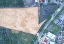 Walhi Sultra: APL Bukan Karpet Merah Merusak Ekosistem Mangrove