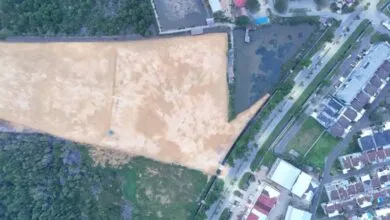 Walhi Sultra: APL Bukan Karpet Merah Merusak Ekosistem Mangrove