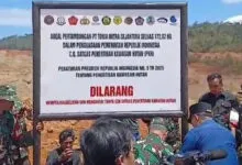Babat Kawasan Hutan, PT TMS Didenda Rp2 Triliun