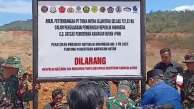 Babat Kawasan Hutan, PT TMS Didenda Rp2 Triliun