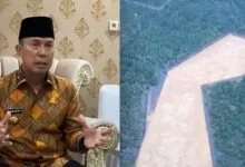 Tanggapi Isu Babat Mangrove, ASR Tegaskan Sudah Cek Status Lahan Sebelum Membeli