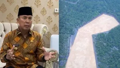 Tanggapi Isu Babat Mangrove, ASR Tegaskan Sudah Cek Status Lahan Sebelum Membeli