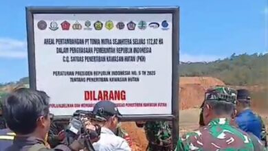 LBH HAMI Tantang Gubernur Sultra Tagih Denda Rp2 Triliun PT TMS