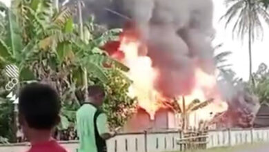 Tinggalkan Rumah saat Memasak Air, Rumah Panggung Milik Warga di Muna Ludes Dilalap Si Jago Merah