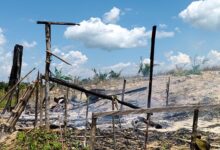Rumah Tani Milik Warga Dibakar Karyawan PT MS, Ketua LBH HAMI Minta Polda Sultra Tangkap Pelaku