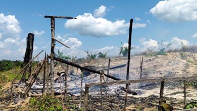 Rumah Tani Milik Warga Dibakar Karyawan PT MS, Ketua LBH HAMI Minta Polda Sultra Tangkap Pelaku