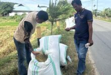 Bulog Bombana Mulai Serap Gabah Petani, Target 2026 Meningkat Signifikan