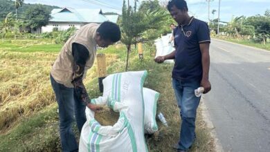 Bulog Bombana Mulai Serap Gabah Petani, Target 2026 Meningkat Signifikan