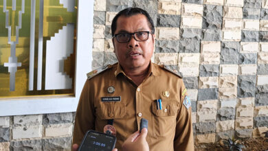 Waspada Cuaca Ekstrem, BPBD Kendari Pangkas Pohon Rawan Tumbang