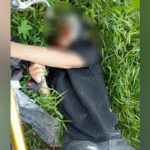 Warga Jalan Hombis Kendari Digegerkan dengan Penemuan Mayat di Kolong Jembatan