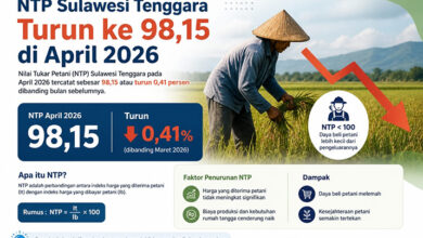 NTP Sultra Turun ke 98,15 di April 2026, Daya Beli Petani Kian Tertekan