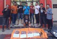 Resahkan Warga, Pelaku Pencurian Sapi di Muna Barat Dihadiahi Timah Panas