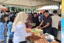 Pangan Murah Pemkot Kendari, Harga Telur Mulai Rp48 Ribu