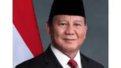 Investor Tiongkok Desak Pemerintah Indonesia Perbaiki Iklim Usaha