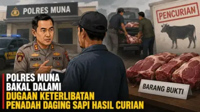 Polres Muna Bakal Dalami Dugaan Keterlibatan Penadah Daging Sapi Hasil Curian