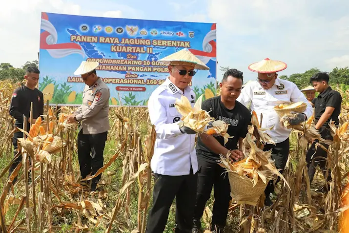 Panen Raya Jagung Kuartal II di Kendari, Pemprov Sultra Perkuat Dukungan bagi Kelompok Tani