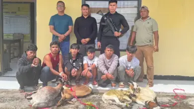 Enam Pencuri Kambing di Buton Tengah Diringkus Polisi