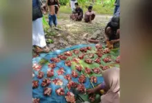 KPR Silika Dorong Perputaran Ekonomi Lokal Lewat Program Kurban Iduladha