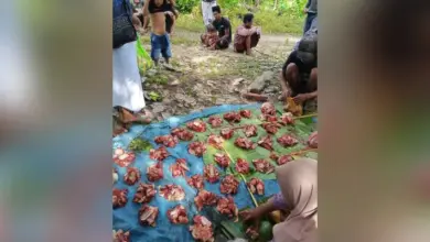 KPR Silika Dorong Perputaran Ekonomi Lokal Lewat Program Kurban Iduladha