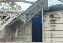 Rumah Papan Milik Lansia di Muna Barat Ditimpa Pohon Jati