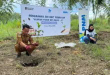 PNM Tanam 29.000 Pohon dan Salurkan Bantuan Sosial di 58 Cabang