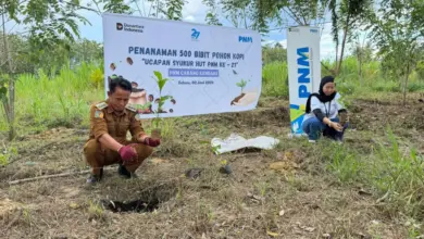 PNM Tanam 29.000 Pohon dan Salurkan Bantuan Sosial di 58 Cabang