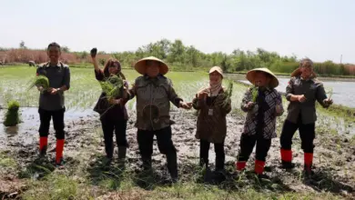 Resmikan Kampung RA dan Pemberdayaan Wakaf Produktif di Pekalongan, Sahli ATR/BPN Harapkan Kesejahteraan Masyarakat Dapat Terwujud