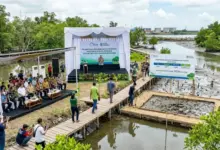 Dukung Target Net Zero Emission 2060, PT Elnusa Petrofin Luncurkan Program Flagship CSR 'Hutan Petrofin'
