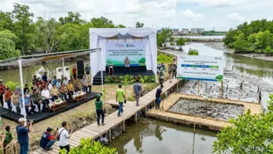 Dukung Target Net Zero Emission 2060, PT Elnusa Petrofin Luncurkan Program Flagship CSR 'Hutan Petrofin'