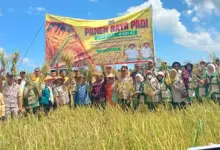 Pemda Muna Barat Fokus Perbaikan Fasilitas Pertanian dan Peningkatan Kesuburan Tanah