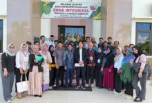 Tanah Digusur, Puluhan Petani Bersama Walhi Resmi Gugat PT Merbau dan Bupati Konsel