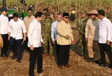 Dampingi Presiden Prabowo Panen Raya di Malang, Menteri Nusron: Ketahanan Pangan Butuh Kepastian Hukum Tanah